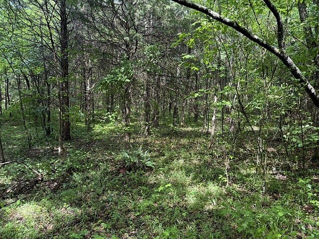 2nd image of 0 Teeters Rd Lot 8
