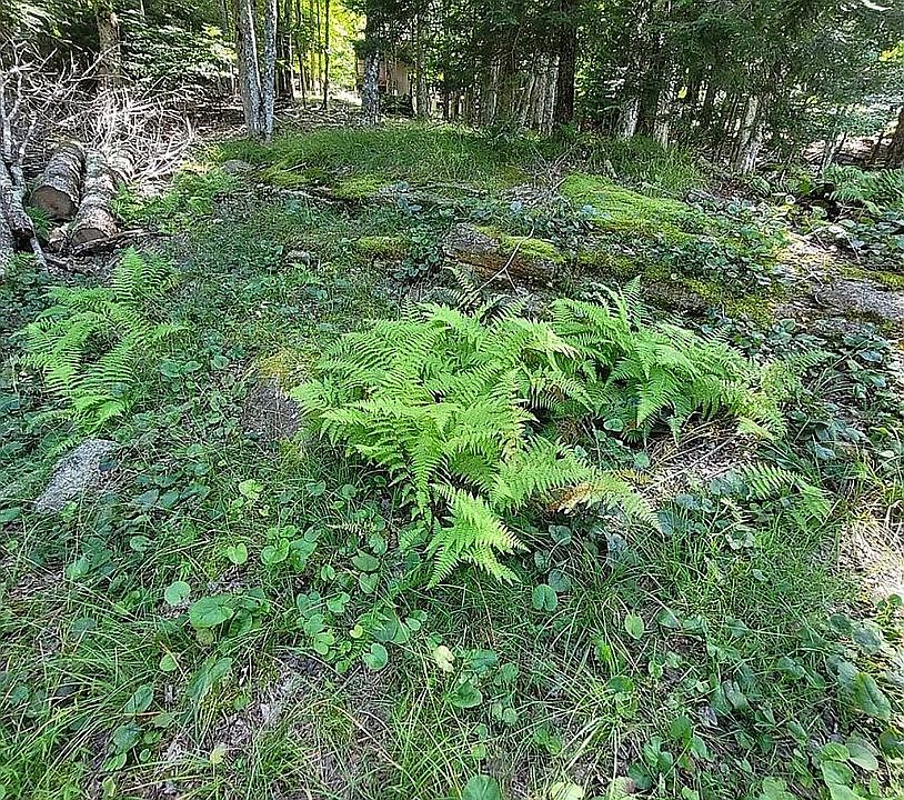 2nd image of 207 Locust Ridge Rd