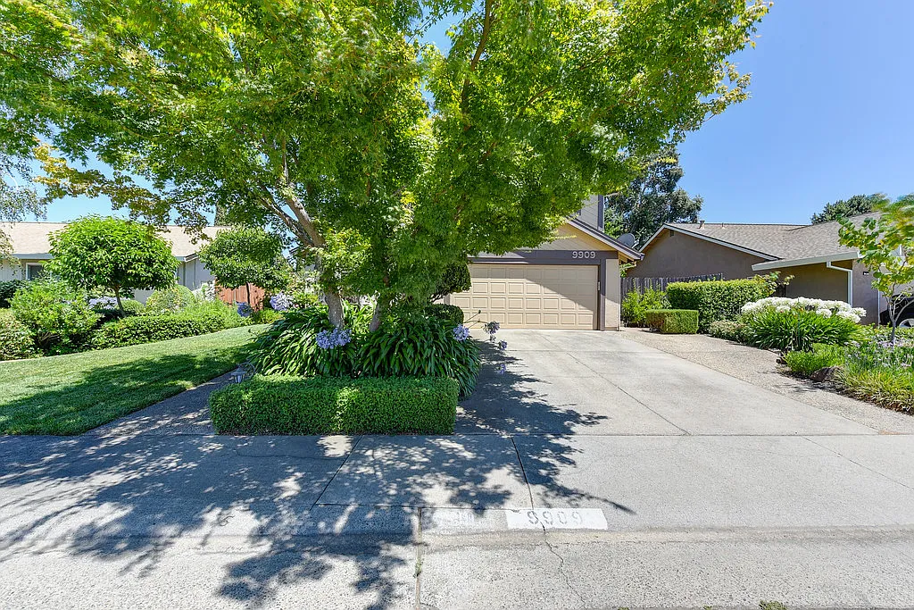 9909 Stone Oak Way photo 1