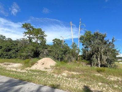 1301 Saint Augustine Ct LOT 15, Kissimmee, FL, 34759