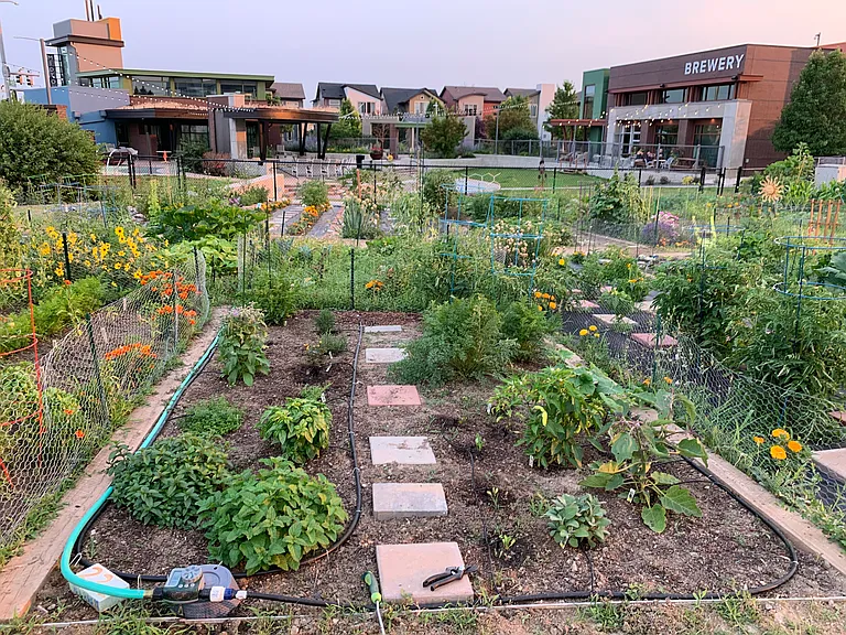 Organic Community Garden, available only to Midtown Residents
