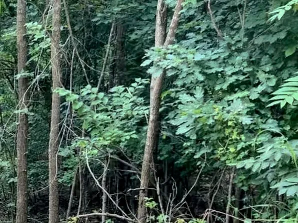 0 County Road 995 Dogwood Park 3 Lots 105 #110, Mountain Home, AR 76253