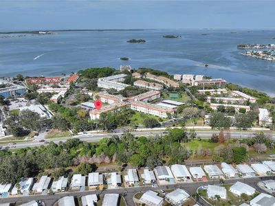 2700 Bayshore Blvd APT 1109, Dunedin, FL, 34698
