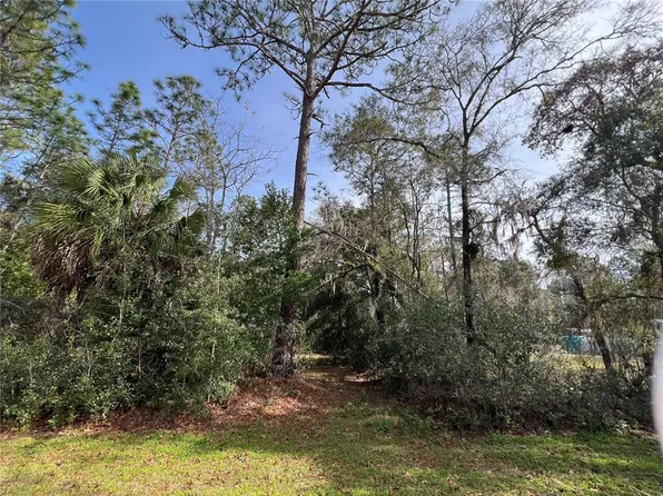 10220 W OHIO DRIVE LOT 1, CRYSTAL RIVER, FL 34428