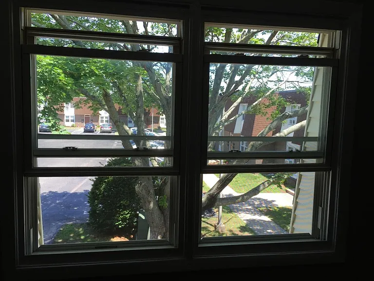 Living Room Windows
