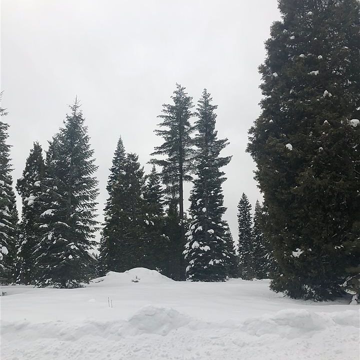 2nd image of 191 Terranova Dr