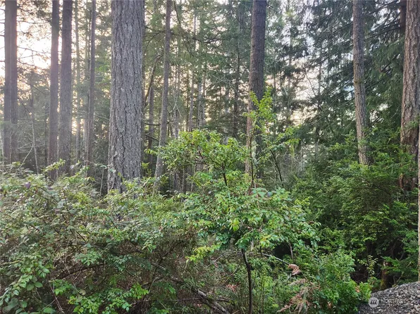 101 N Colony Surf Drive, Lilliwaup, WA 98555