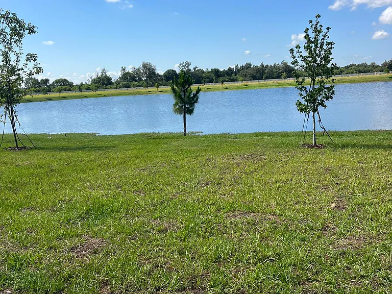 235 Mangrove Shade Cir — Photo 11