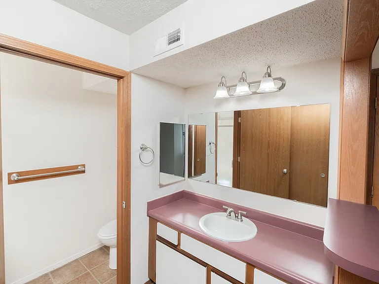 Ensuite Vanity Area