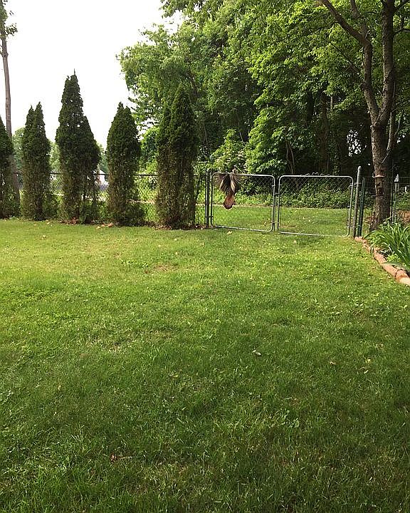 2nd image of 19 Columbia Dr