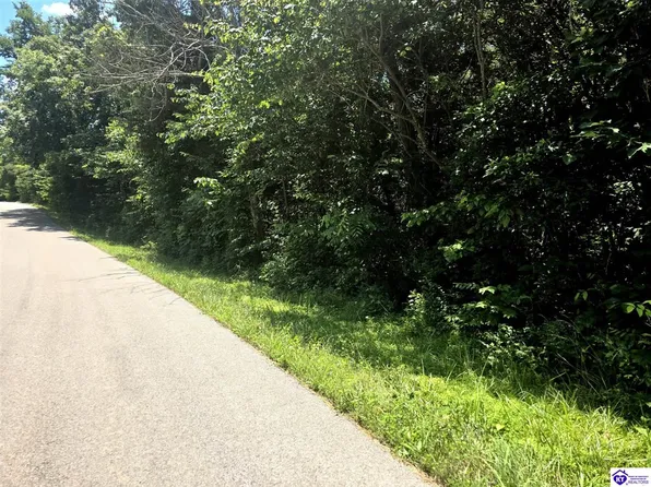 TRACT Two Johnson Harris School Rd, Rineyville, KY 40162