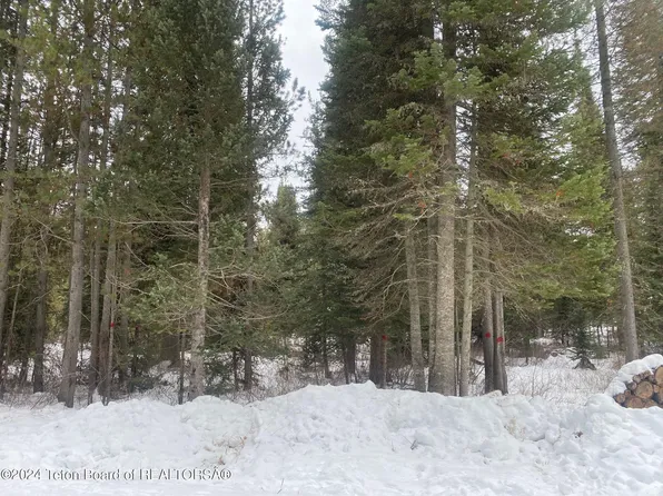 40 Spruce St, Alpine, WY 83128