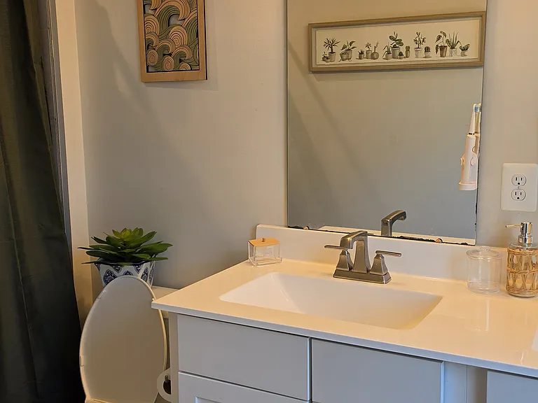Main Suite Bathroom.