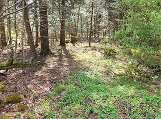 Bliss Gulf Rd Lot 12, Oneonta, NY 13820