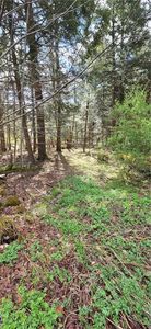 Bliss Gulf Rd Lot 12, Oneonta, NY, 13820