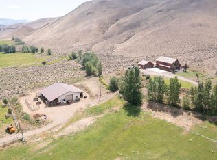9885 Challis Creek Rd, Challis, ID 83226
