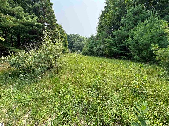 4th image of LOT 4 E Bellinger Rd