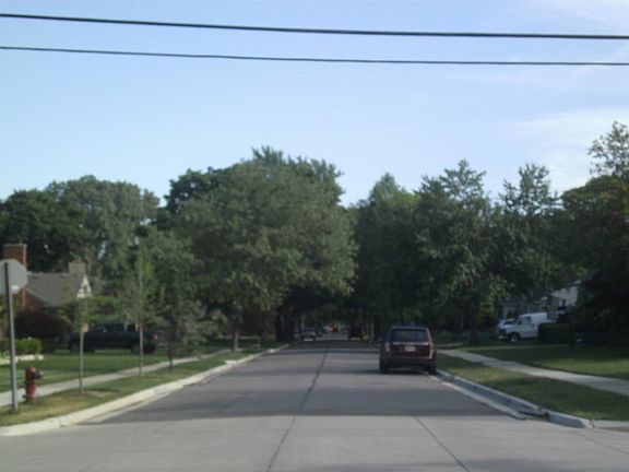4th image of 1428 Edgewood Dr