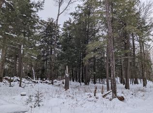 80421 Peeksville Rd, Butternut, WI 54514