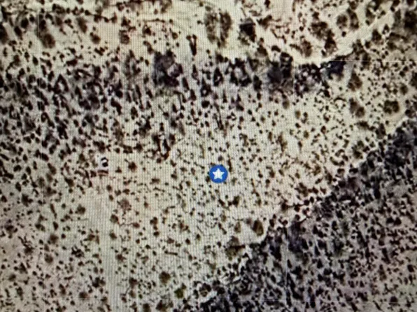 XXX S Sportman Drive #2864, Meadview, AZ 86444