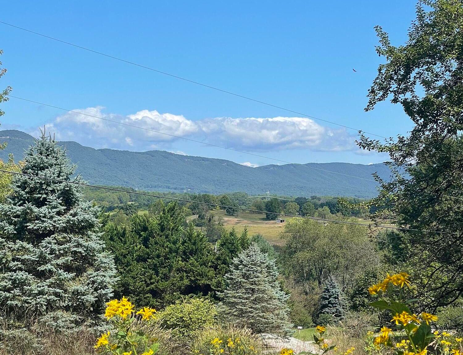 0 Adventure Mountain Rd 0, Montvale, VA 24122 Zillow