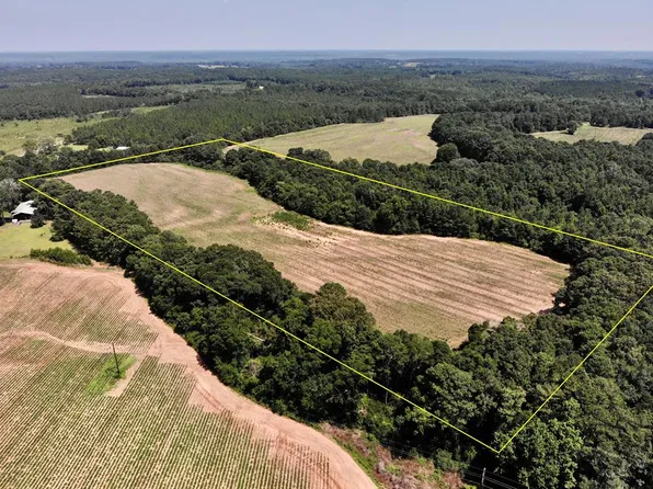 19AC Ollie Pouncey Rd, Chancellor, AL 36316