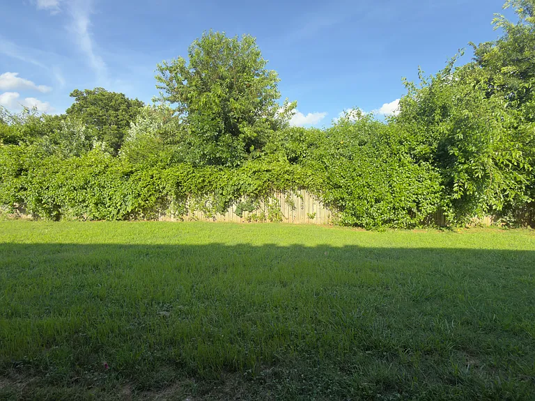 1505 Elington St — Photo 12