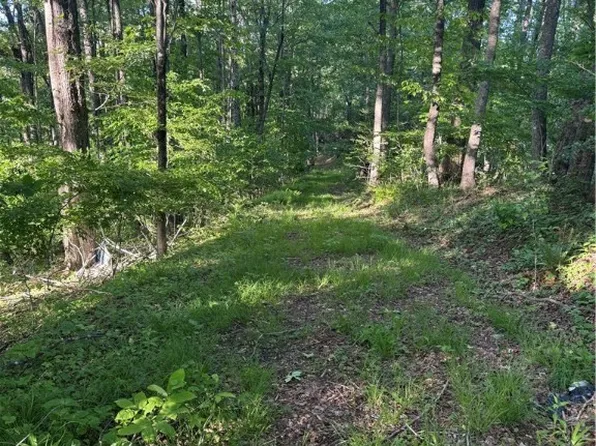 TBD Hickory Trail, Warrensville, NC 28693