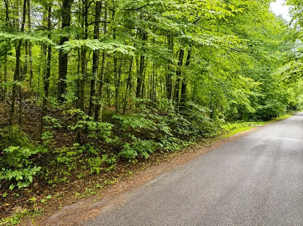 Nighthawk Ln, Presque Isle, WI 54557