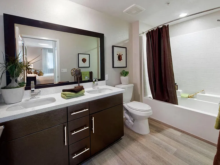 Designer bathrooms