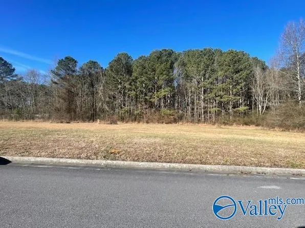 LOT 2 Summertree Way NE Lot 2, Arab, AL 35016