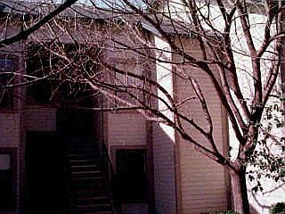 1st image of 1674 W Parkwood Ln #0