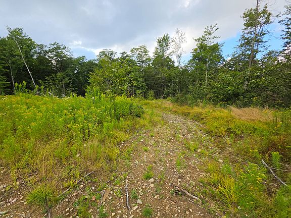 3rd image of 0WP Owego Hill Rd