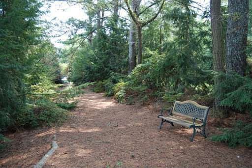 5th image of 4263 Bristlecone Dr NW