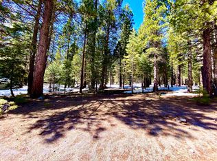 931 Long Iron Dr, Chester, CA 96020