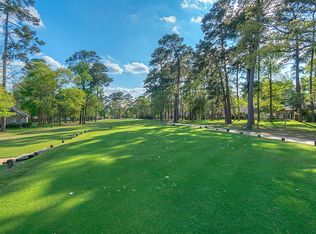 3318 Lake Island Dr, Montgomery, TX 77356
