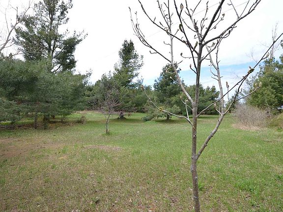 2nd image of 10596 Pincherry Rd