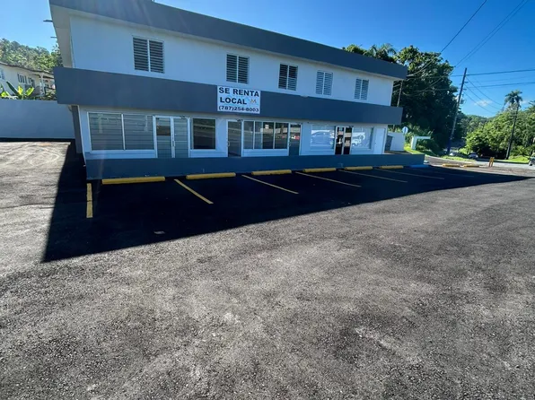 Edificio Cuchillas - Local 1, Carr 149 Km 9.3 Bo Hato Viejo Sector Cuchillas, Ciales, PR 00638