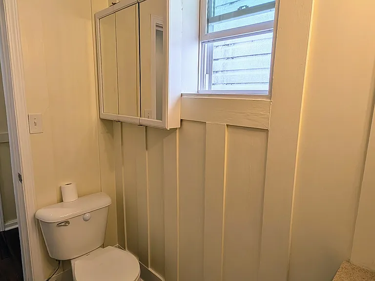 Natural light fills this freshly updated bathroom with vertical wood panel detailing and modern finishes.