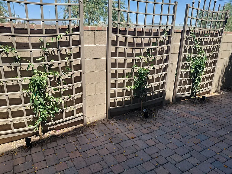 Backyard Trellises