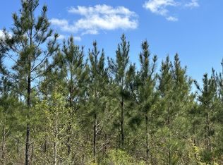 TRACT 6416 W Brock Rd, Caryville, FL 32427