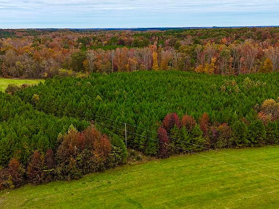 4th image of 2551 Little Mountain Creek Rd #Pin