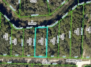 34338 Berryhill Dr, Webster, FL 33597