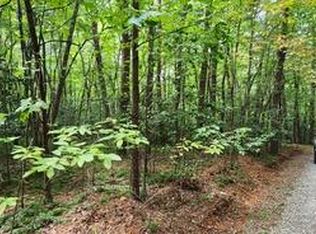 LOT-36A Old Mill Pond Rd, Mineral Bluff, GA 30559
