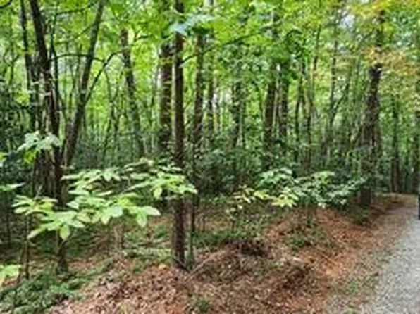 LOT-36A Old Mill Pond Rd, Mineral Bluff, GA 30559