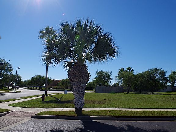 3rd image of 101 Lantana Ln