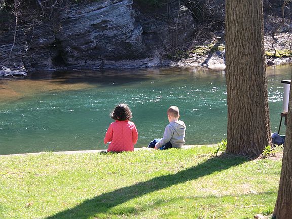 Lycoming Creek in Spring