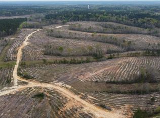 300 N Eastabuchie Rd, Petal, MS 39465