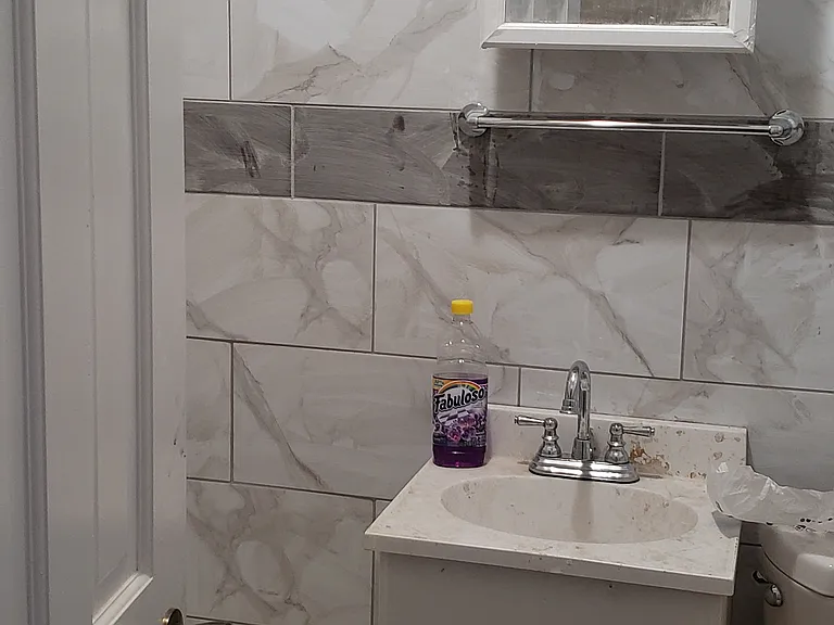 1233 Flatbush Ave #1 — Photo 11