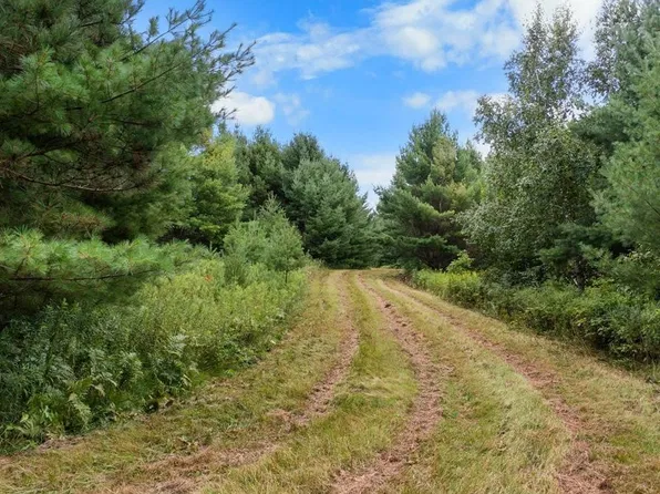 TBD County F Road, Trego, WI 54888